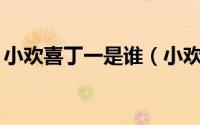 小欢喜丁一是谁（小欢喜47集丁一又出现了）