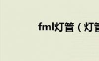 fml灯管（灯管fsl什么意思）