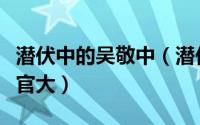 潜伏中的吴敬中（潜伏里的吴敬中和陈长捷谁官大）