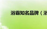 浴霸知名品牌（浴霸三大公认品牌）