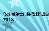 乌龙!威尔士门将把球停进自家球门（威尔士门将被红牌罚下为什么）
