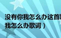 没有你我怎么办这首歌的歌词（梁静茹没有你我怎么办歌词）