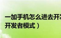 一加手机怎么进去开发者模式（一加如何进入开发者模式）