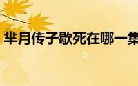 芈月传子歇死在哪一集（芈月传子歇的结局）