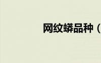 网纹蟒品种（网纹蟒饲养）