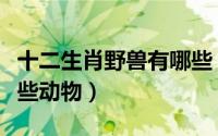 十二生肖野兽有哪些（摇头摆尾十二生肖有哪些动物）