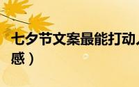 七夕节文案最能打动人心（七夕节文案图片伤感）