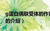 g蛋白偶联受体的作用机制（G蛋白偶联受体的介绍）
