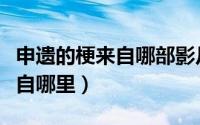 申遗的梗来自哪部影片（仰望星空派的梗是来自哪里）