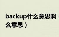 backup什么意思啊（backupandrestore什么意思）