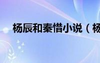 杨辰和秦惜小说（杨辰林若曦小说主角）