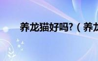 养龙猫好吗?（养龙猫的危害有哪些）