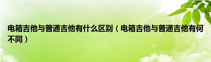 电箱吉他与普通吉他有什么区别（电箱吉他与普通吉他有何不同）