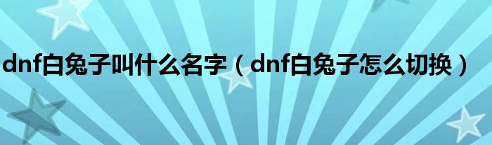 dnf白兔子叫什么名字（dnf白兔子怎么切换）