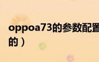 oppoa73的参数配置（oppoa73参数是怎样的）