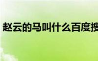 赵云的马叫什么百度搜索（赵云的马叫什么）