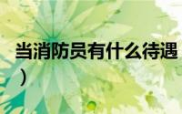 当消防员有什么待遇（消防战士和消防员区别）