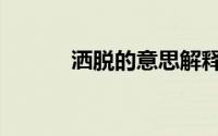 洒脱的意思解释（洒脱的意思）