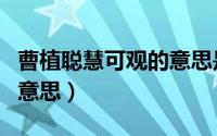 曹植聪慧可观的意思是什么（曹植聪慧可观的意思）