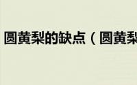 圆黄梨的缺点（圆黄梨与黄金梨哪个口感好）