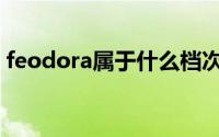feodora属于什么档次（fido属于什么档次）