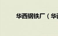 华西钢铁厂（华西钢铁是国企吗）