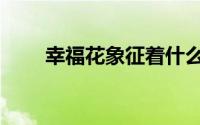 幸福花象征着什么（幸福花的寓意）