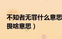 不知者无罪什么意思?（不知者不罪无知者无畏啥意思）