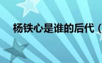 杨铁心是谁的后代（杨铁心是谁的儿子）