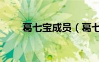 葛七宝成员（葛七宝是什么电视剧）