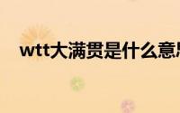 wtt大满贯是什么意思（wtt是什么意思）