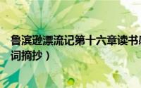 鲁滨逊漂流记第十六章读书感悟（鲁滨逊漂流记第十六章好词摘抄）