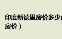 印度新德里房价多少卢比一平方（印度新德里房价）