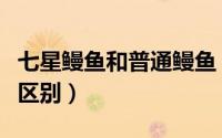 七星鳗鱼和普通鳗鱼（七星鳗与普通鳗有什么区别）