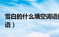 雪白的什么填空词语搭配（雪白的什么填空词语）