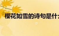 樱花如雪的诗句是什么（樱花如雪的诗句）