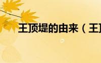 王顶堤的由来（王顶堤为啥叫王顶堤）