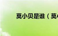 莫小贝是谁（莫小贝他哥叫什么）