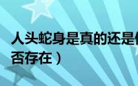 人头蛇身是真的还是假的（人头蛇身的怪物是否存在）