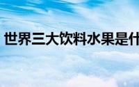 世界三大饮料水果是什么（世界三大饮料水）
