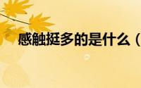感触挺多的是什么（感触很多什么意思）