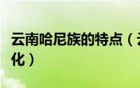 云南哈尼族的特点（云南哈尼族的一些民族文化）