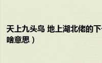 天上九头鸟 地上湖北佬的下一句（天上九头鸟地上湖南佬是啥意思）