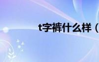 t字裤什么样（t型裤怎么穿）