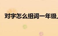 对字怎么组词一年级上册（对字怎么组词）
