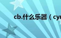 cb.什么乐器（cymbal是什么乐器）