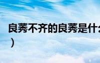 良莠不齐的良莠是什么意思（良莠是什么意思）