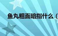 鱼丸粗面暗指什么（鱼丸粗面真实意思）