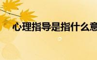心理指导是指什么意思（心理指导是指）