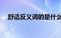 舒适反义词的是什么意思（舒适反义词）